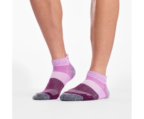 Tenis Saucony Inferno No Show Tab 3-Pack Socks Unisexo Calcetines Accesorios Rosas Assorted México MX-824-EW